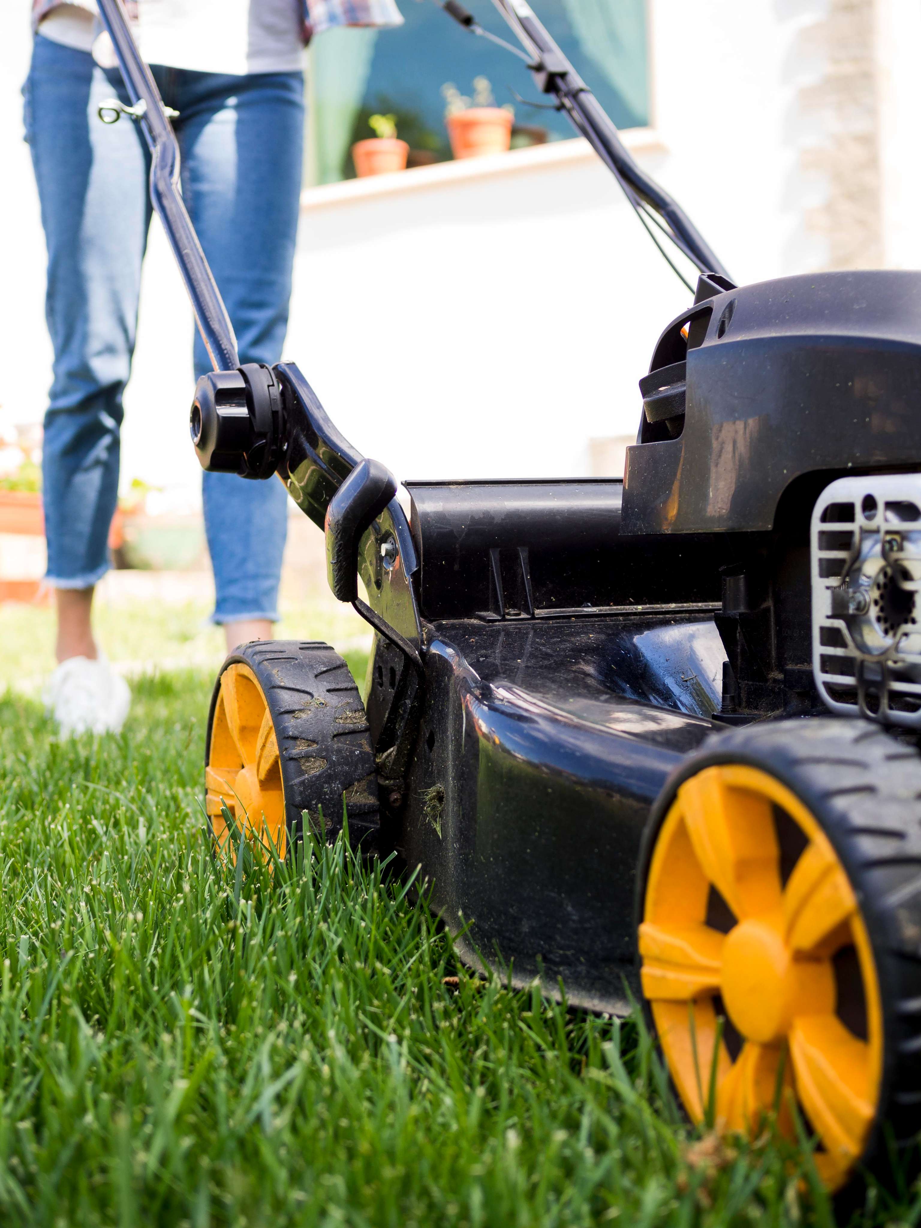 Lawn Care Service