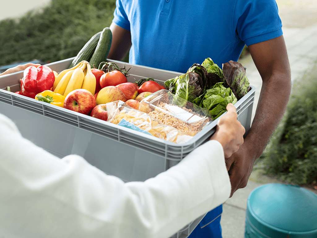 Supply & Provision